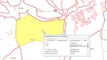 Проект МАЛИНОВОЕ ЧУДО